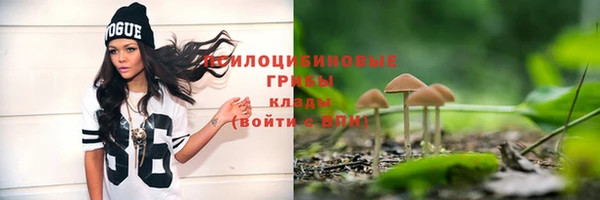 бошки Володарск
